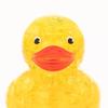 BEVERLY 43-teiliges Kristallpuzzle Rock 'n' Duck 50317