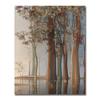 Modern Abstract Tree of Life Oil Painting Prints On Canvas Painting Posters Colorful Tree Wall Art Picture for Living Room Decor