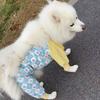 Dog Leg Protection Cover Lightweight Anti-Insect Pants Outdoor Walks Four-Legged Pet Apparel