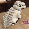 3D Dinosaur Skeleton Plush Toys Funny Novelty Dinosaur Skeleton Cos Props Soft Unique Dinosaur Skeleton Costume Set