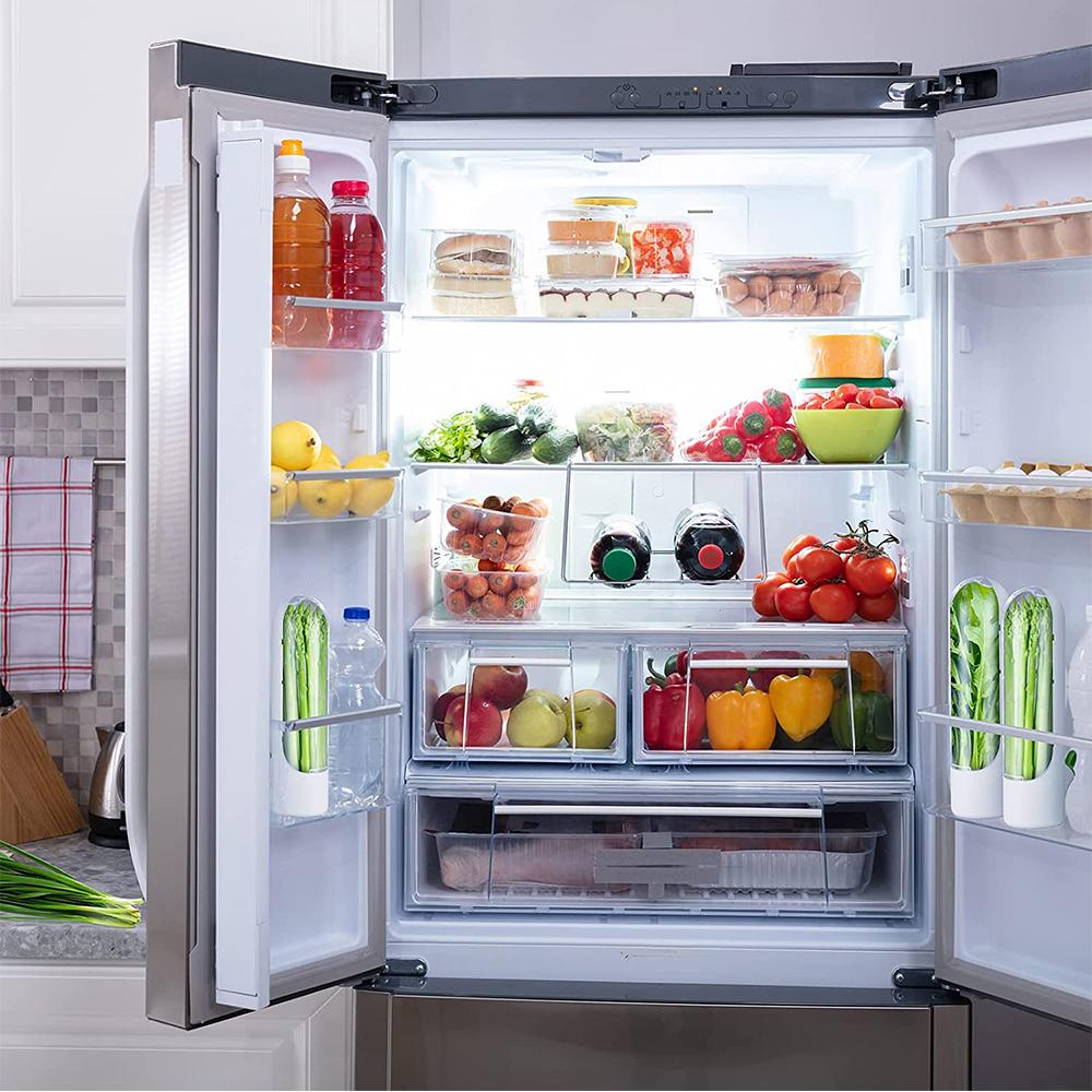 Herb Saver for Refrigerator for Cilantro, Asparagus, Keeps Vegetables Fresh