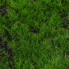 30Cmx30Cm Realistic Artificial Moss Mat Soft Faux Grass For Fairy Garden Crafts Wall Decor Indoor Plants Landscaping Decor Craft