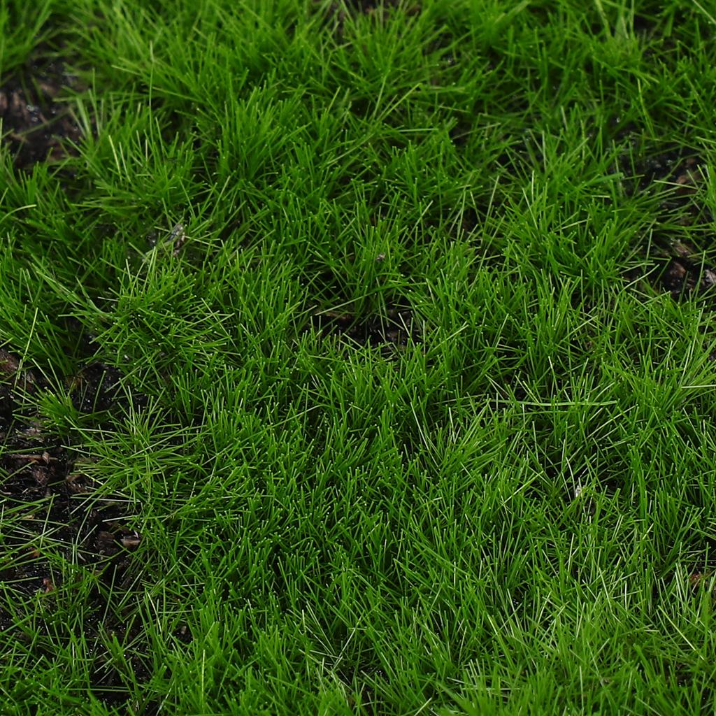 30Cmx30Cm Realistic Artificial Moss Mat Soft Faux Grass For Fairy Garden Crafts Wall Decor Indoor Plants Landscaping Decor Craft