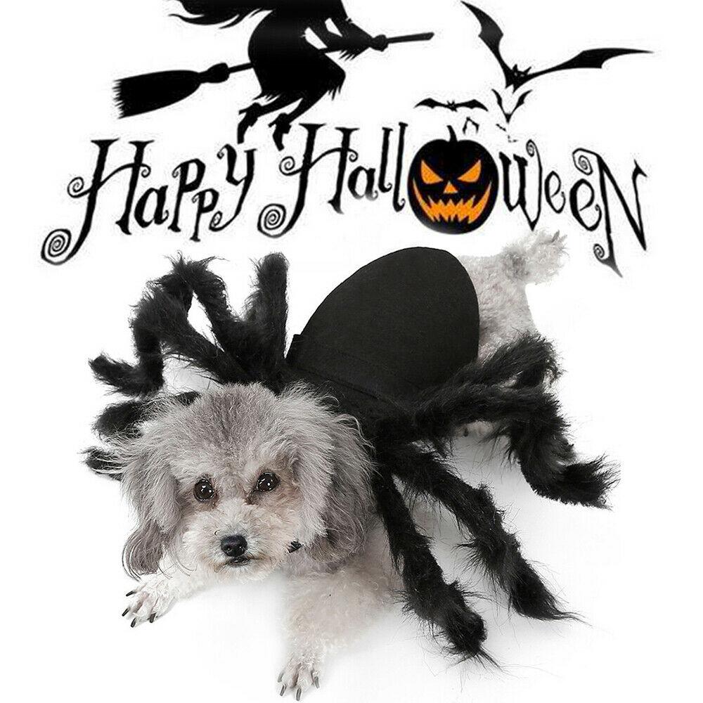 Kjæledyr Edderkoppkostyme Halloween Kjæledyr Edderkoppklær Hund Katt Skrekk Simulering Plysj Edderkopper Kle Seg Ut