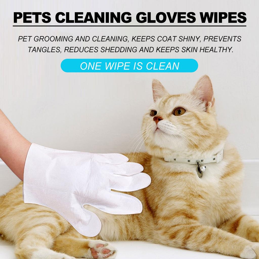 Pet No Washing Glove 3 st, Pet No Rinse Pet Wipes, Engångsrengöring för husdjur Massagehandskar, Pet Grooming Husdjurstvätt