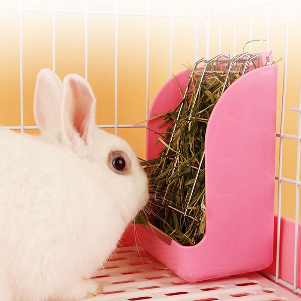 1Pcs Spring Type Rabbit Grass Frame Plastic Pet Food Container  for Herbivore Guinea Pigs Hamsters