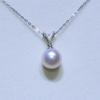 Natural freshwater pearl necklace, fresh niche V-shaped pearl pendant, round and versatile collarbone chain jewelry.