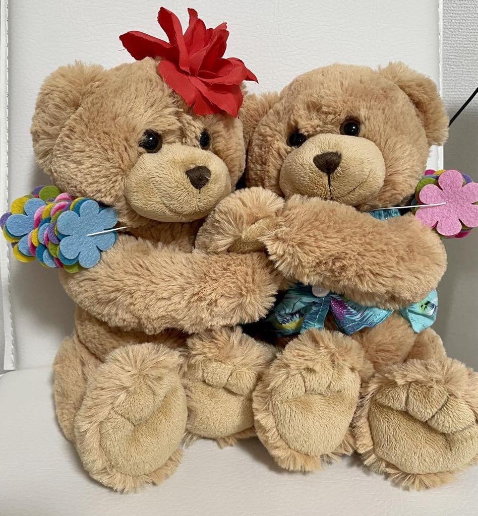 [USED] Stuffed Teddy Bear