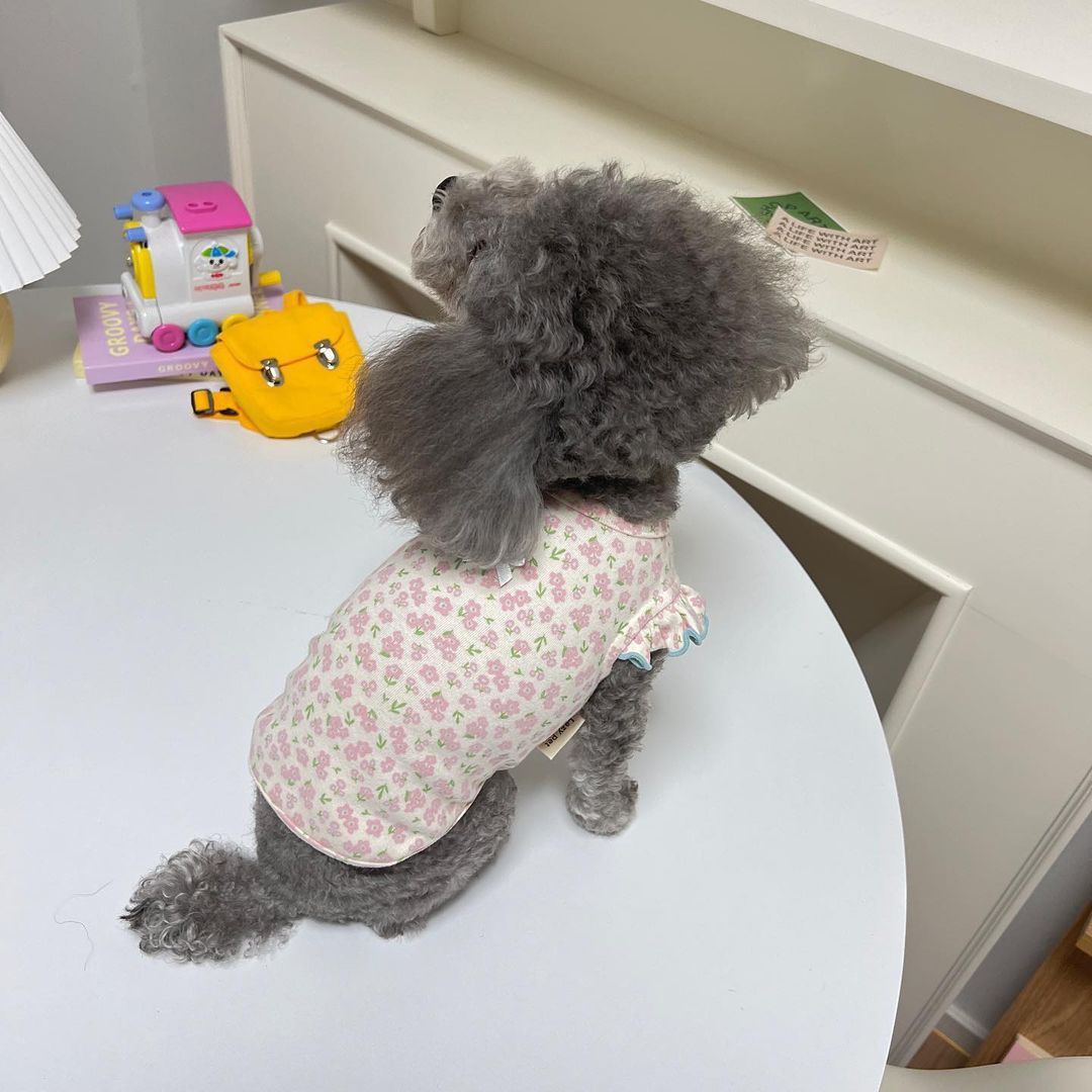 

Bowknot Floral Flying Sleeve Vest Dog Clothes Cat Universal Teddy Summer Thin Spring and Autumn Pet Clothing XS(0.5-1.5KG)