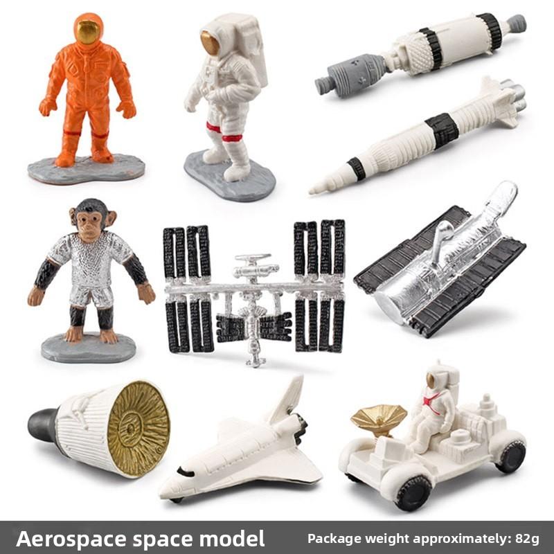 Organs Human Pvc Model Set Montessori Teaching Toy For Kids Learning Science