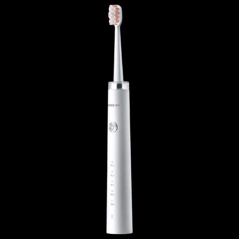 Flyco PT1701 Sonic Electric Toothbrush CN plug (adapter included)