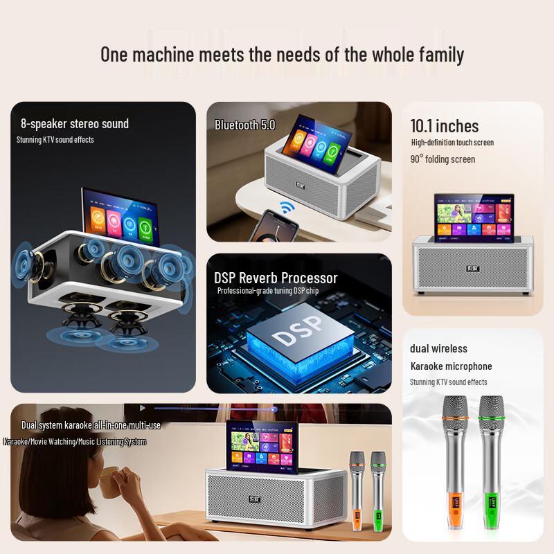 Soaiy SA-K2501 Home KTV Audio System with Microphone CN Plug (adapter Included)