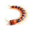 English Version Of Electric Infrared Remote Control Toy Multi-Legged Animal Crawling Centipede Simulation New Strange Toy