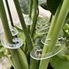 Flexible Clips Support Holders Fasteners For Training And Preventing Leaves From Drooping Or Tangling Outdoor Development