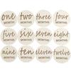 12 Pcs Wooden Baby Monthly Milestone Cards, Baby Monthly Milestones For Newborn Baby Gifts,1-12 Months Wooden Discs