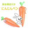 Carrot Recorder Pen Toy for Kids Cute Ballpoint Pen for Boys and Girls Kids Recording Pen Ink Pen 2 Pieces