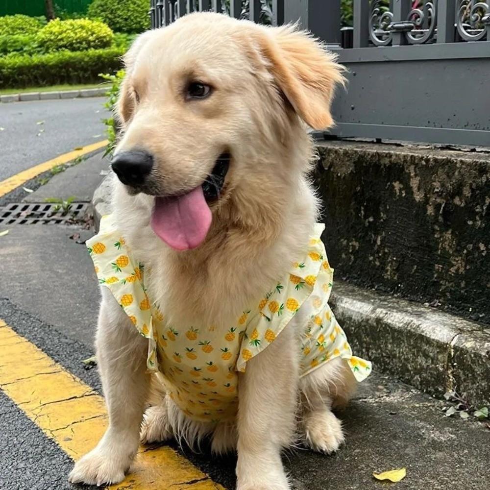 Thin Breathable Pet Princess Dresses Flutter Sleeve Dog Summer Vest Pet Pullover Spring Summer