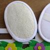 Disposable Loofah Bath Scrubber (4-pack)