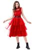 Adult Women's Wednesday Addams Cosplay Prom Dress - Black Halloween Costume