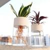Home Indoor Desktop Mini Transparent Imitation Glass Hydroponic Flower Pot Soilless Cultivation Creative Green Plant Planting De
