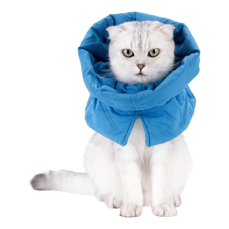 Comfortable Pet Collar Felines After Spays Operations Flexible Size Stop Scratching and Protects Wounds Effectively