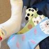 Women's Blue Mid-Calf Socks - Cute Cartoon Puppy Design, Perfect for Spring and Summer