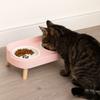 Ceramic Double Cat Bowl Large Capacity Anti-Spill Elevated Dog Bowl Cervical Protection with Stand Pet Food Water Feeder