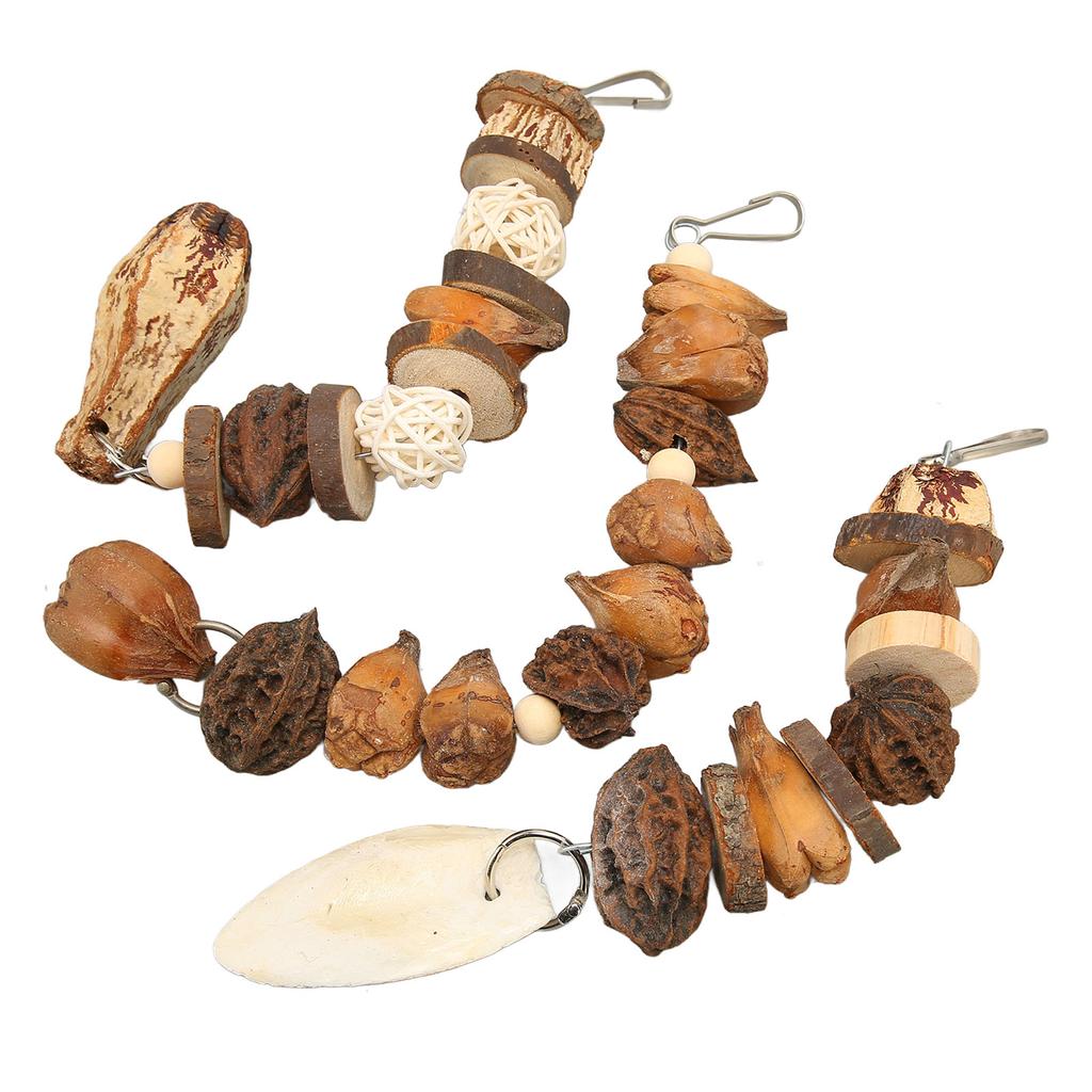 Bird Bite Toy Set Nutty Vine Ball Cuttlebone Hanging Parrot Chewing String with Stainless Steel Hooks for Birds