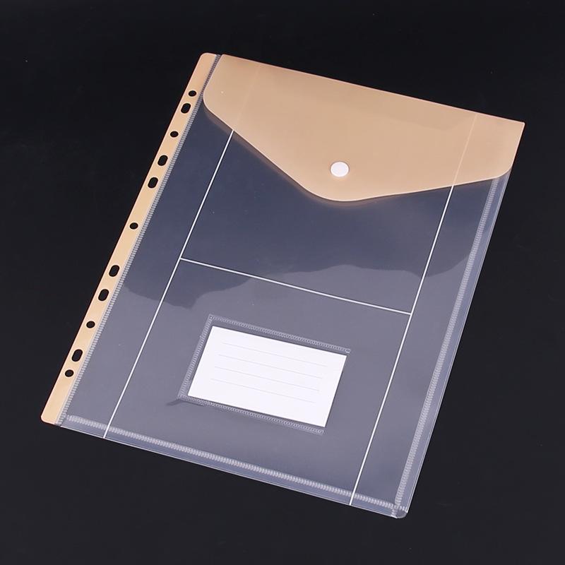 Busta A4 Trasparente a 11 Fori con Chiusura a Scatto per Archiviazione Documenti