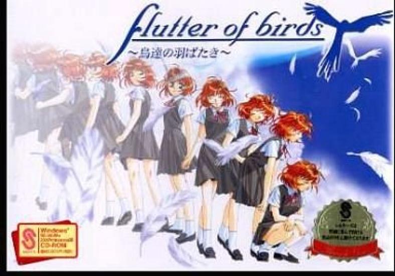 

Flutter of Birds