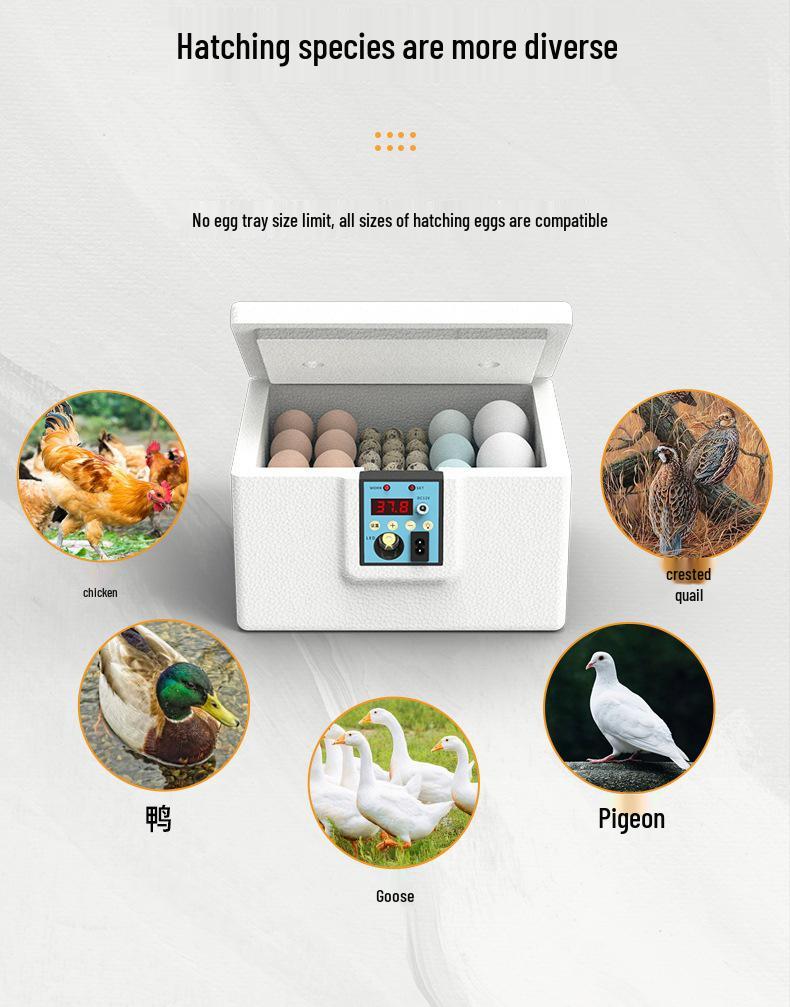 Fully Automatic Small Quail Egg Incubator: Intelligent Hatching Machine for Chicks, Ducks, and Geese