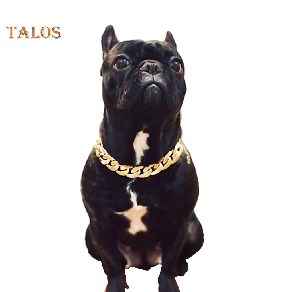 plastic training collar