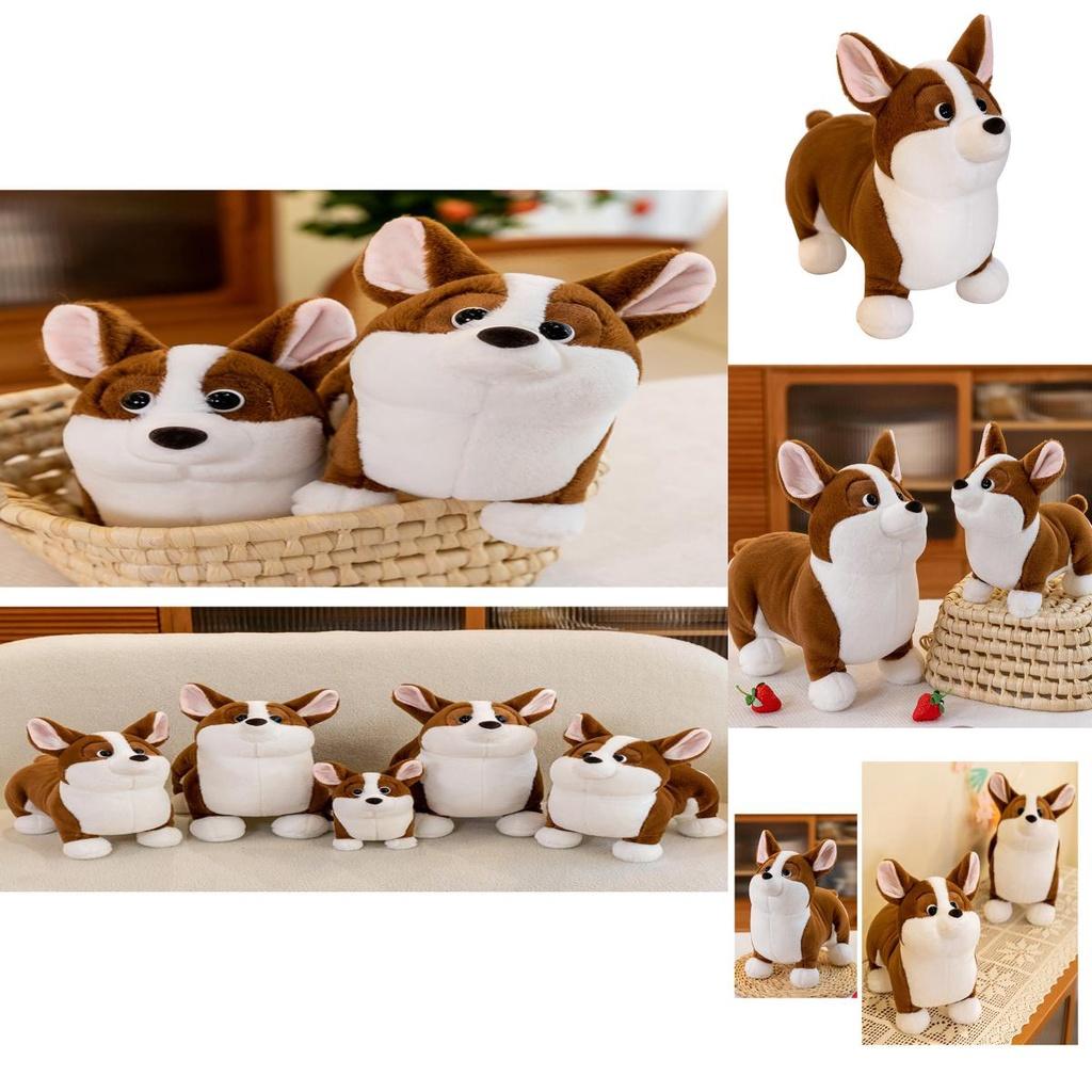 Niedliches Corgi Plüschtier Entzückende Stofftierpuppe für Kinder Weiches Teddybär Spielzeug Geburtstagsgeschenk für Mädchen 23cm Höhe