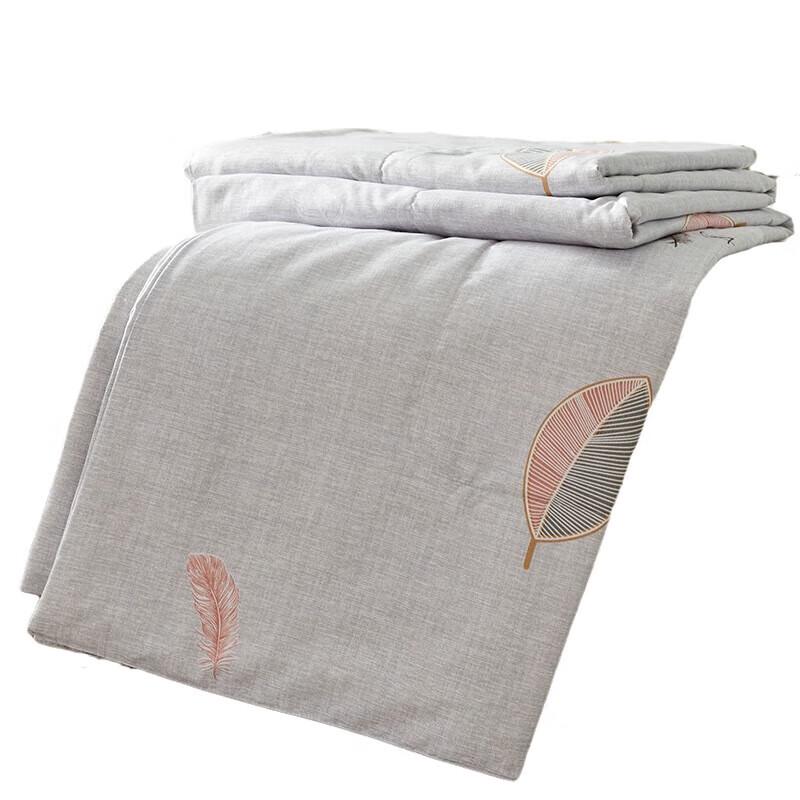 

Taihu Snow Premium Summer Tussah Silk Comforter