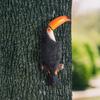 Peco Parrot Wall Hanging Resin Craft Wall Decorative Birds Room Decoration Garden Outdoor Home Decoration