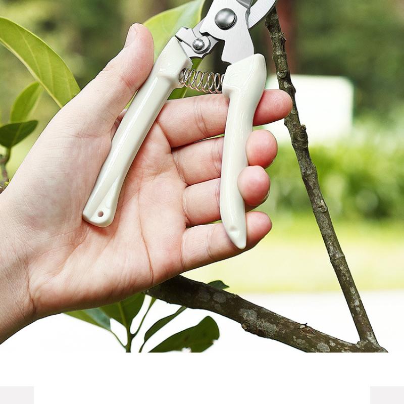 Beskjæringssaks Hagesaks Hage Albue Rett Hode Hage Plukking Fruktsaks Fjær Håndverktøy