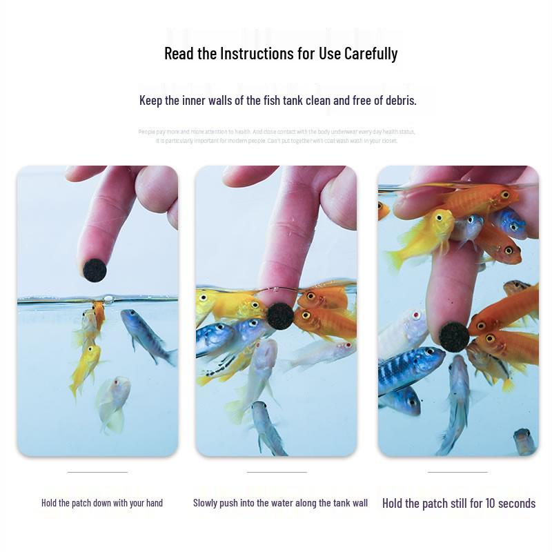 Color-Enhancing Tropical Fish Food Patch for Small Schooling Fish