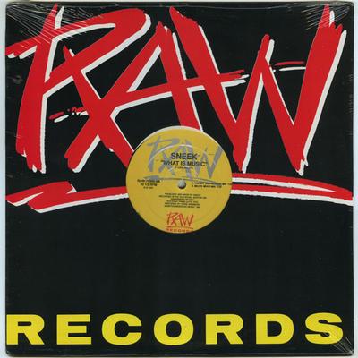 12inch Record SNEEK - What Is Music RAW75008 RAW Records 1991 US Dance & Electronica Used