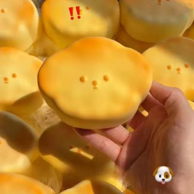 Squishy Cute Dog Bread Slow Rising Fidget Toys Soft Sensory Fidget Toys For Stress Relief Anxiety Relief Squeeze Toys For Adults