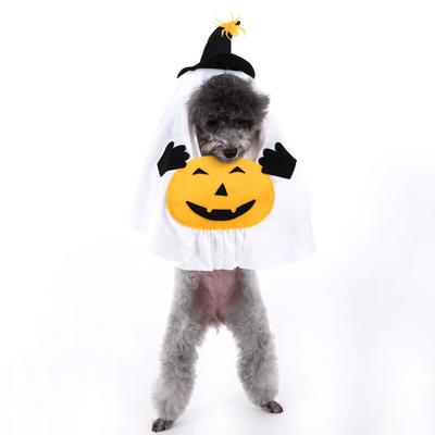 Pumpkin Witch Halloween Costume for Small & Medium Dogs and Cats