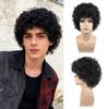 Black Short Curly Hair Perm Wig, Men's Small Roll African Style Wig, Suitable for Daily Wear and Role-playing