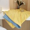 Qiao De Ice Silk All-Season Cooling Quilt