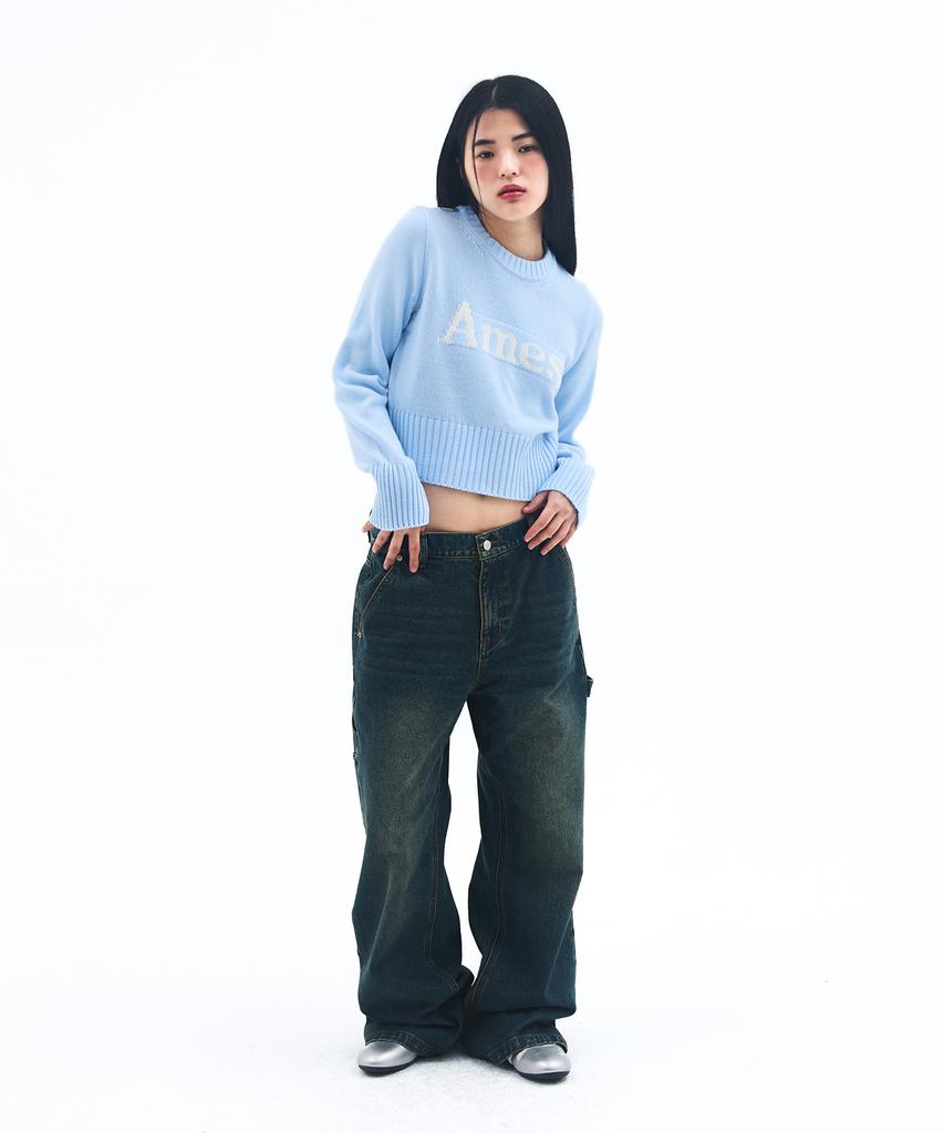 AMES-WORLDWIDE Basic Pullover Knit Light Blue