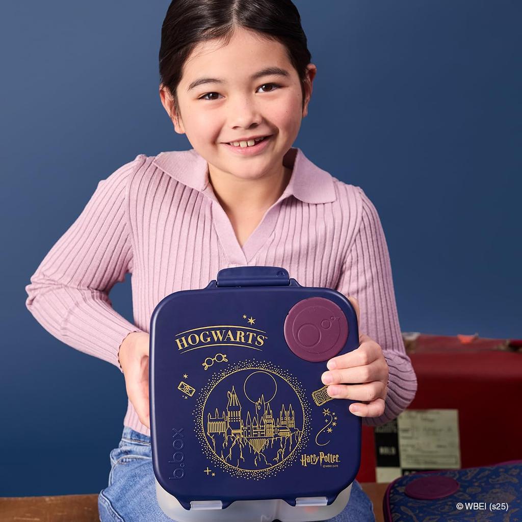 Lunch Large Capacity Picnic Lunch Box for Includes Ice Dishwasher Safe FREE B.box Box, 2L, 3-4 People, Leak-Resistant, Packs, [Authentic B.box