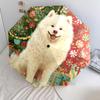 Christmas dog, automatic folding umbrella, portable and foldable design, 8 ribs, a Christmas or birthday gift.