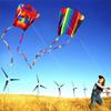 Colorful Parafoil Kite With Long 200cm Tails And 30m Flying Line For Outdoor Fun