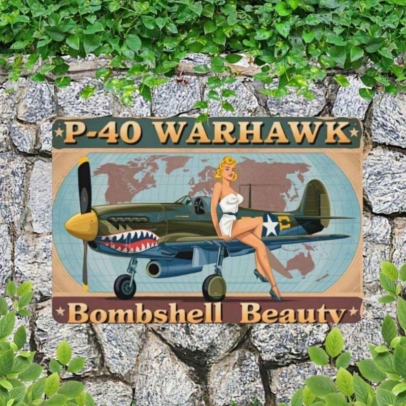 Metal Wall Art P-40 Warhawk WWII Fighter Plane Retro Aircraft Decor for Living Room