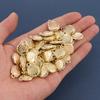 30/100pcs  Golden Marine Animal Charm Mixed Starfish Shell Stainless Steel Jewelry Making Pendant In Bulk