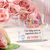 Best Teacher Paperweight - Graduation & Appreciation Keepsake for Daycare Educators