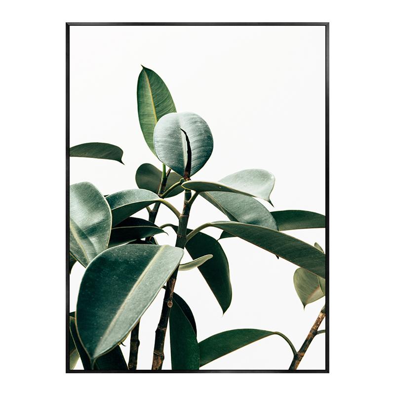 Monstera Leaf Green Plant Poster Animal Lion Leopard Horse Photos Nordic Decorative Paintings Canvas Wall Art Picture Home Decor